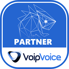 Voip Voice partner